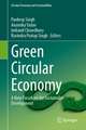 Green Circular Economy: A New Paradigm for Sustainable Development