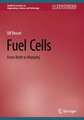 Fuel Cells: From Birth to Maturity