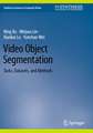 Video Object Segmentation