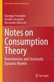 Notes on Consumption Theory
