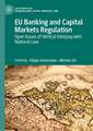 EU Banking and Capital Markets Regulation: Open Issues of Vertical Interplay with National Law