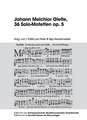 Johann Melchior Gletle, 36 Solo-Motetten Op. 5: Propositions for Educating Students in a Modern World