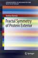 Fractal Symmetry of Protein Exterior