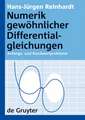 Numerik gewöhnlicher Differentialgleichungen: Anfangs- und Randwertprobleme