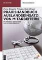 Praxishandbuch Auslandseinsatz von Mitarbeitern: Die optimale Gestaltung aus Unternehmersicht