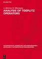 Analysis of Toeplitz Operators