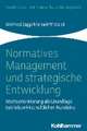 Normatives Management und strategische Entwicklung