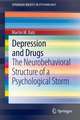 Depression and Drugs: The Neurobehavioral Structure of a Psychological Storm