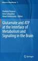 Glutamate and ATP at the Interface of Metabolism and Signaling in the Brain