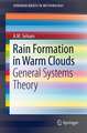 Rain Formation in Warm Clouds: General Systems Theory