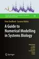 A Guide to Numerical Modelling in Systems Biology