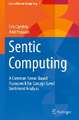 Sentic Computing: A Common-Sense-Based Framework for Concept-Level Sentiment Analysis