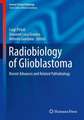 Radiobiology of Glioblastoma: Recent Advances and Related Pathobiology