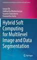 Hybrid Soft Computing for Multilevel Image and Data Segmentation