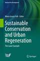 Sustainable Conservation and Urban Regeneration: The Luxor Example