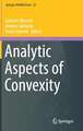 Analytic Aspects of Convexity