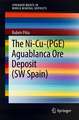 The Ni-Cu-(PGE) Aguablanca Ore Deposit (SW Spain)