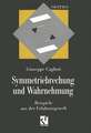 Symmetriebrechung und Wahrnehmung: Beispiele aus der Erfahrungswelt