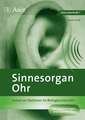 Sinnesorgan Ohr