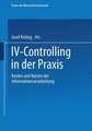 IV-Controlling in der Praxis: Kosten und Nutzen der Informationsverarbeitung