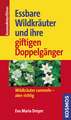 Essbare Wildkräuter und ihre giftigen Doppelgänger