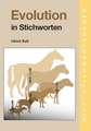 Evolution in Stichworten