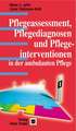 Pflegeassessment, Pflegediagnosen und Pflegeinterventionen in der ambulanten Pflege