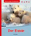 Der Eisbär