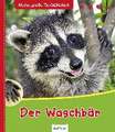 Meine große Tierbibliothek: Der Waschbär