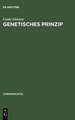 Genetisches Prinzip: Zur Struktur der Kulturgeschichte bei Jacob Burckhardt, Georg Lukács, Ernst Robert Curtius und Walter Benjamin