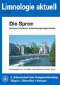 Die Spree