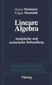 Lineare Algebra: Analytische und numerische Behandlungen