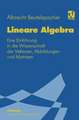 Lineare Algebra: Eine Einführung in die Wissenschaft der Vektoren, Abbildungen und Matrizen