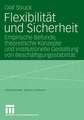 Flexibilität und Sicherheit: Empirische Befunde, theoretische Konzepte und institutionelle Gestaltung von Beschäftigungsstabilität