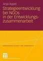 Strategieentwicklung bei NGOs in der Entwicklungszusammenarbeit