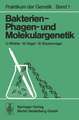 Bakterien-, Phagen- und Molekulargenetik