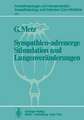 Sympathico-adrenerge Stimulation und Lungenveränderungen