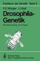 Drosophila-Genetik