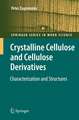 Crystalline Cellulose and Derivatives: Characterization and Structures