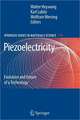 Piezoelectricity: Evolution and Future of a Technology