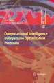 Computational Intelligence in Expensive Optimization Problems