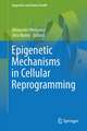 Epigenetic Mechanisms in Cellular Reprogramming