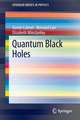 Quantum Black Holes