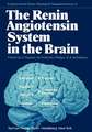 The Renin Angiotensin System in the Brain: A Model for the Synthesis of Peptides in the Brain