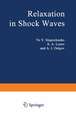 Relaxation in Shock Waves