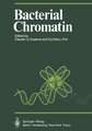 Bacterial Chromatin