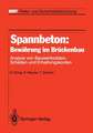 Spannbeton: Bewährung im Brückenbau: Analyse von Bauwerksdaten, Schäden und Erhaltungskosten