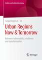 Urban Regions Now & Tomorrow: Between vulnerability, resilience and transformation