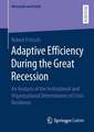 Adaptive Efficiency During the Great Recession: An Analysis of the Institutional and Organizational Determinants of Crisis Resilience