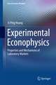 Experimental Econophysics: Properties and Mechanisms of Laboratory Markets